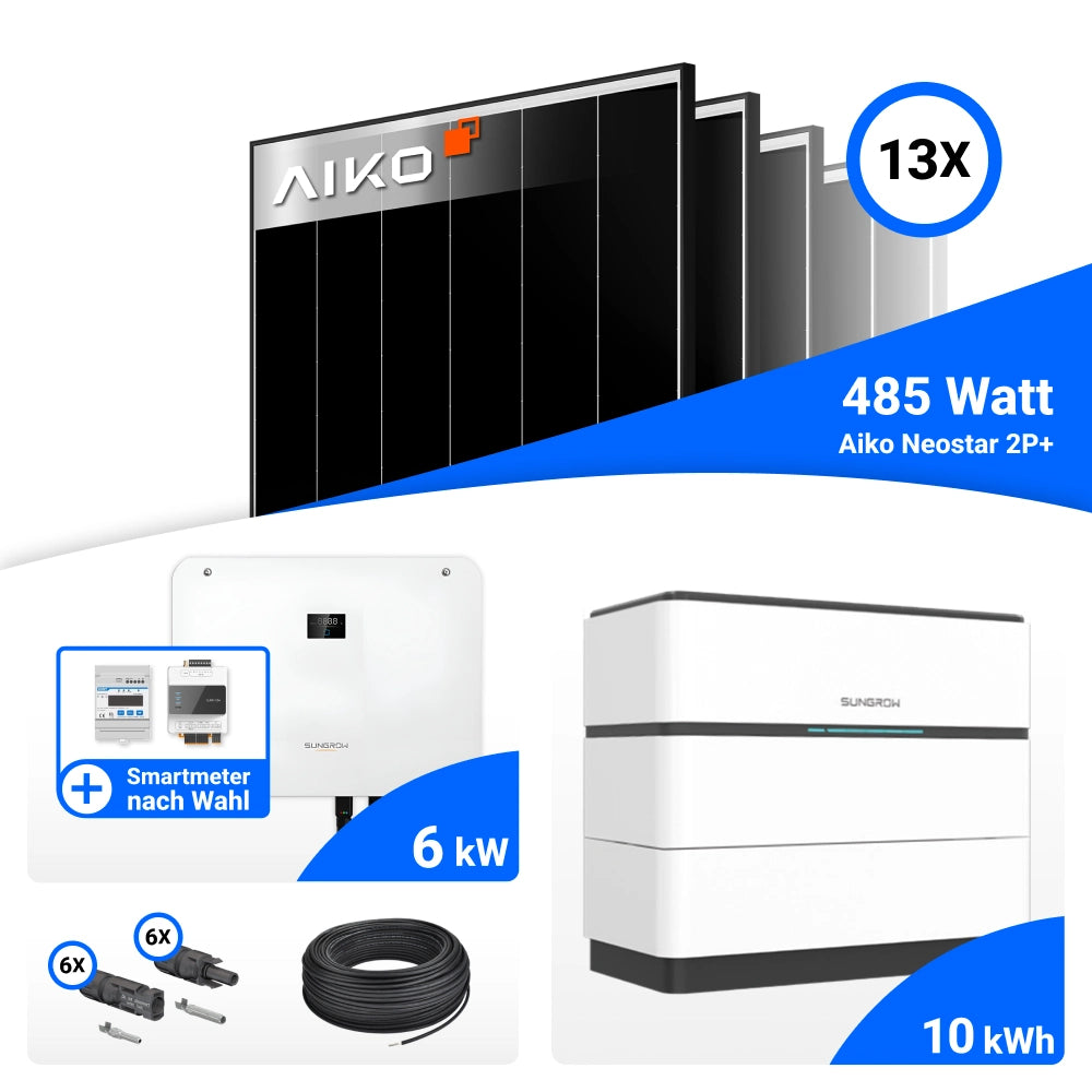 Anschlüsse Sungrow SH6T Wechselrichter 6 kWp Set