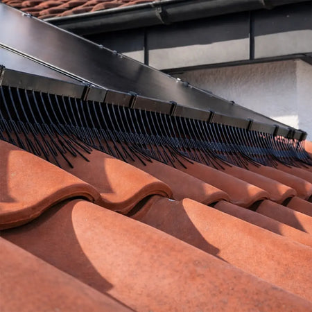 Taubenschutz für PV-Anlagen schützt vor Verschmutzung